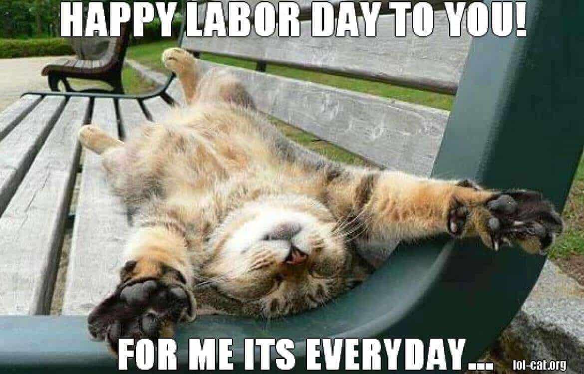 Labor Day Memes Gifs 2018 | Festivals Date & Time